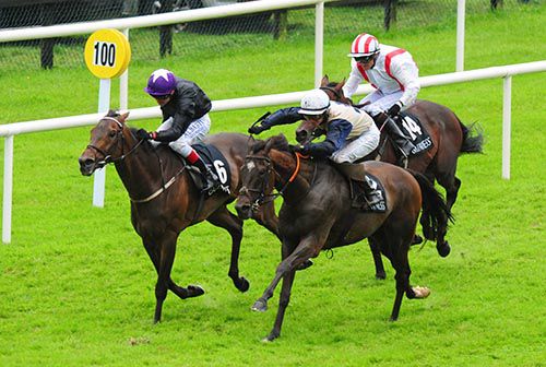 Artful Artist (Sean Corby, nearside) comes through to beat Show Court with Cliff House in behind