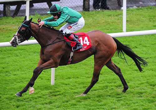 Botanical Lady and Leigh Roche