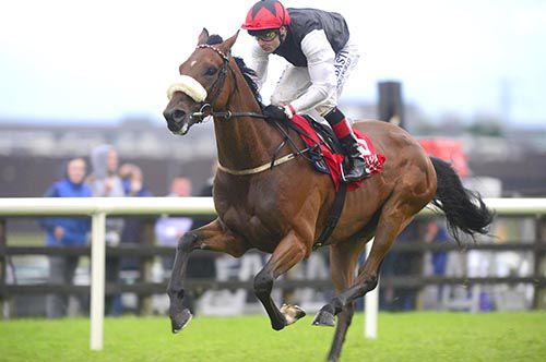 Forgotten Rules and Pat Smullen stride clear for another impressive win