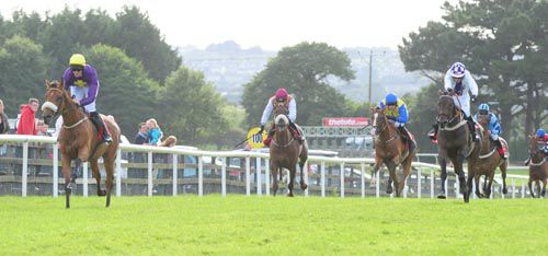 Windsor Park an easy winner of the bumper