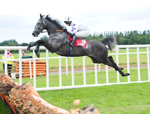 Wisty puts in a great jump at Cork