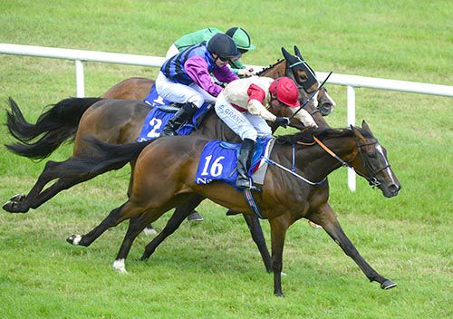 Twistsandturns gets up to win