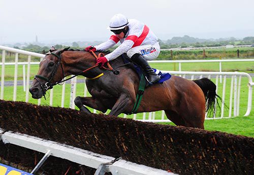 Bose Ikard and Davy Condon