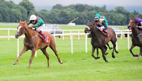 Edelmira goes clear under Pat Smullen at Cork
