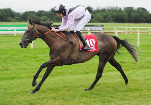 Aussie Guest and Joseph O'Brien