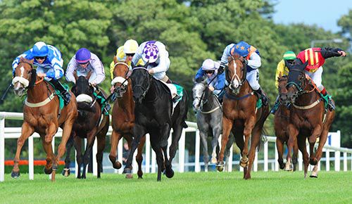 Footprint (third from right, white/orange/blue colours) at Sligo