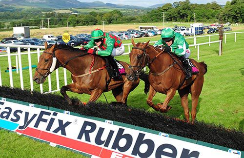 He Is Top Class (cheekpieces) jumps the last just ahead of The Yellow Bin