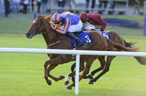 Eye Of The Storm is driven out by Joseph O'Brien to see off Roheryn