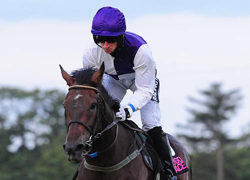 Lyrical Theatre comes home a very easy winner under Patrick Mullins