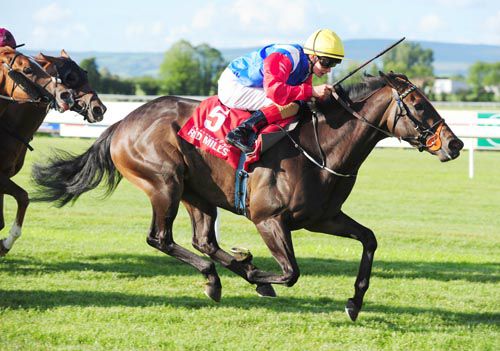 Lady Mega is ridden out by Robbie Downey close home