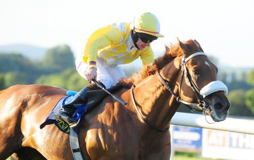 Captains Dilemma is ridden out close home by Philip Donovan