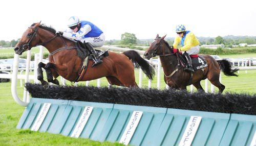 Ask Vic and Paul Townend lead Well Tuned and Kevin Sexton over the last