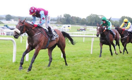 After his miraculous recovery Quarton comes home a comfortable winner under Davy Condon