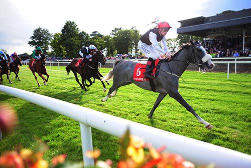 Carla Bianca comes home in front under Pat Smullen