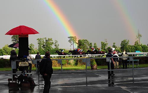 Timiyan leads the field in the early stages under a rainbow at Gowran