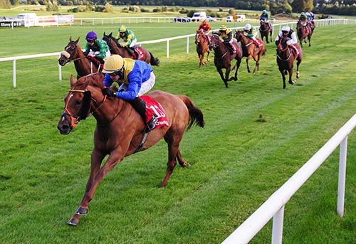 Zelos Dream comes home in front under Gary Halpin