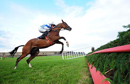 On The Way Out takes off at the last under Jonathan Burke