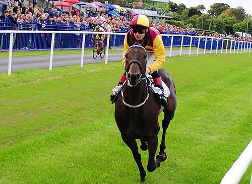 Pat Smullen and Moonbi Creek are well clear of cyclist Nicolas Roche in the Beast Vs Bike Race 
