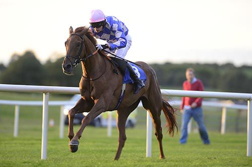 Prickly and Kevin Power head for home in Tramore