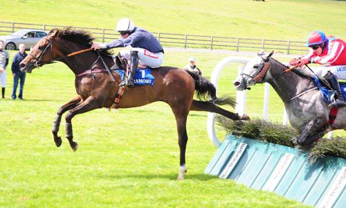Gusty Rocky winning at Tramore last year