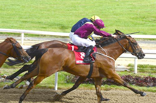 Refusetolisten, near side, beats Chief Suspect