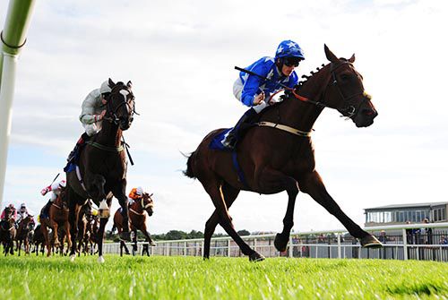 Grandma Dotty delivers an upset in Roscommon