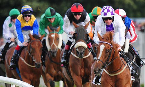 Ring Chief leads the way in Sligo