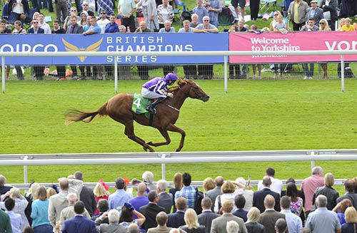 Australia powers to victory at York 