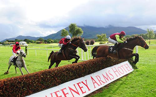 Royal Flight leads Elsie over the last