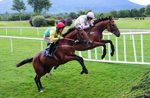 Indevan (far side) and Ballylongford wing an early fence