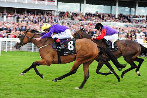 Pale Mimosa and Pat Smullen (nearest) hold off Estimate and Ryan Moore