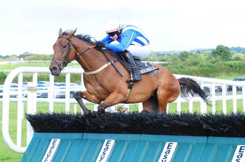 Long House Saint jumps the last on his way to victory under Adrian Heskin