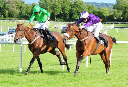 Mizyen (green) and Manhattan Swing battle out the finish