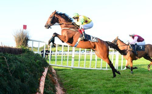 Drop Anchor takes off at the last under David Casey