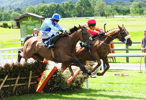 Klepht, left, comes through to win in Killarney