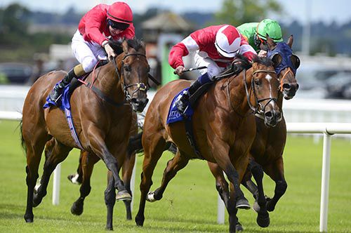 Jamesie and Colm O'Donoghue just get the better of Gordon Lord Byron and Joseph O'Brien (left)