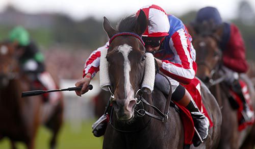 Mutual Regard and Louis Steward come home in front in the Ebor