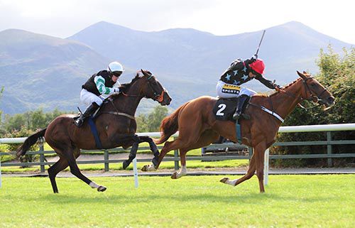 Flight Plan leads from Railway Rule who lugged in behind him