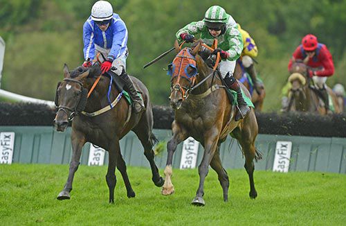 Fast Exit (right) and Lucky Pigeon do battle