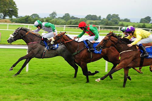Eric The Grey and Billy Lee sees off Truly Delightful (Rory Cleary) and Newton's Night (Declan McDonogh, nearside)