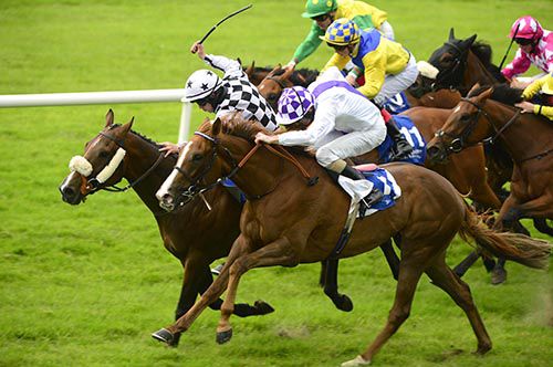 Kevin Manning arrived at just the right time down the outer, on Gold Focus, to short head Pennys Angel