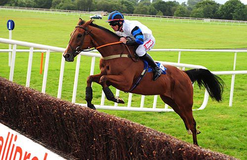 Fosters Cross and Davy Russell clear the last