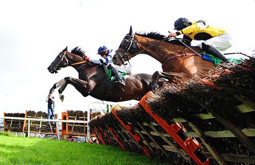 Cassells Rock (farside) jumps the last in second alongside Portrade