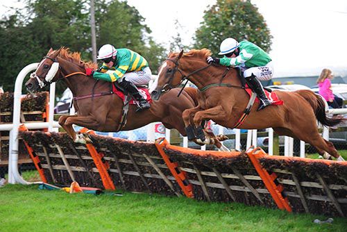 Point Of Rescue (cheekpieces) just leads Bosman Rule over the last