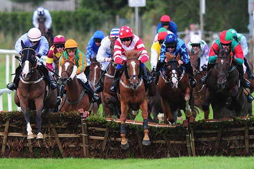 Cristy's Call (red & white) got home in tight finish