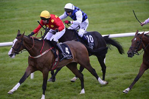 Our Sox holds off Lady In Motion 