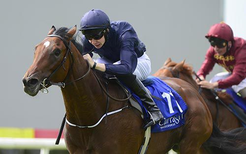 Ol' Man River winning on debut at the Curragh last month