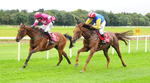Valerian Bridge, left, beats Behana into second at Cork