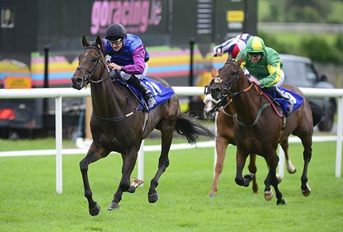 Millington and 'Dusty' Foley comes home in front of Teeline and Seamie Heffernan