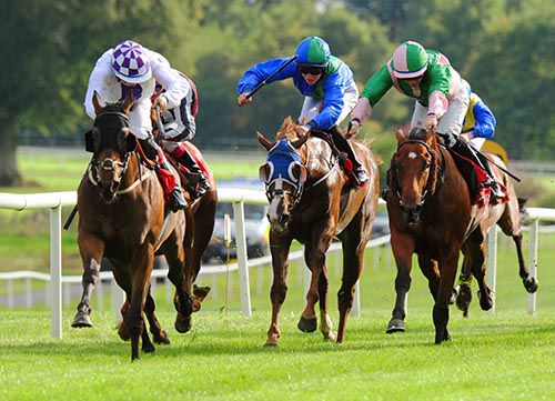 Intenser leads them home in nursery